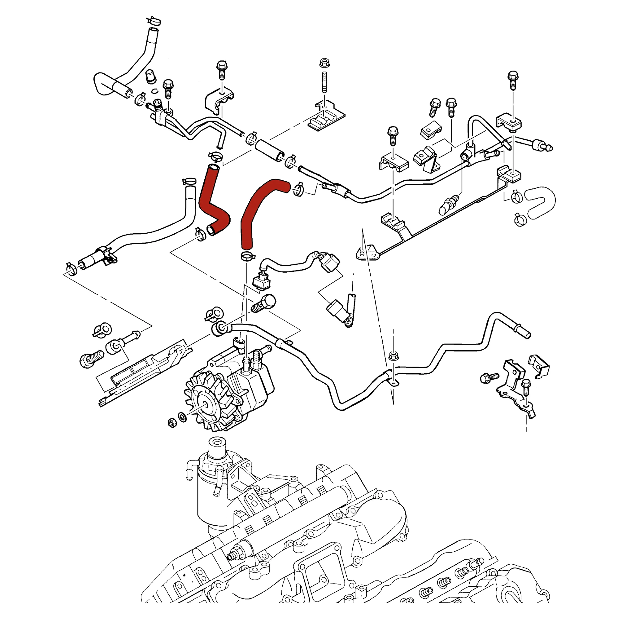 DmaxStore CP3 Injection Pump Hose Kit, 2004.5-2005 LLY - Image 3